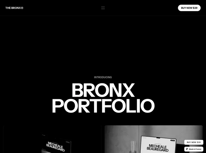 Bronx screenshot